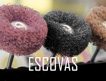 ESCOVAS